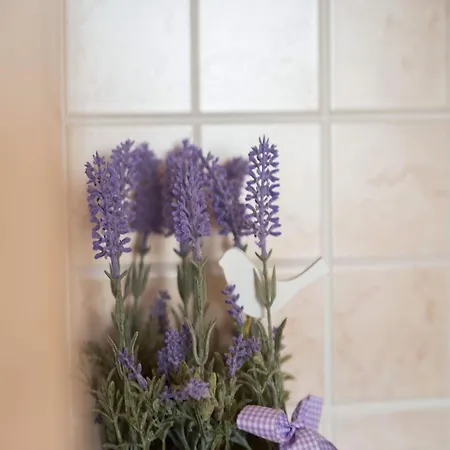 Splendid With Bubble Bath In Croatia Apartment